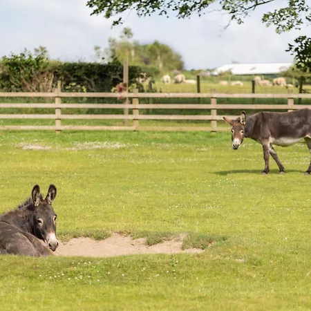 Honey Pot Barn * Cropton